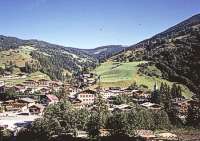 Ort Viehhofen 